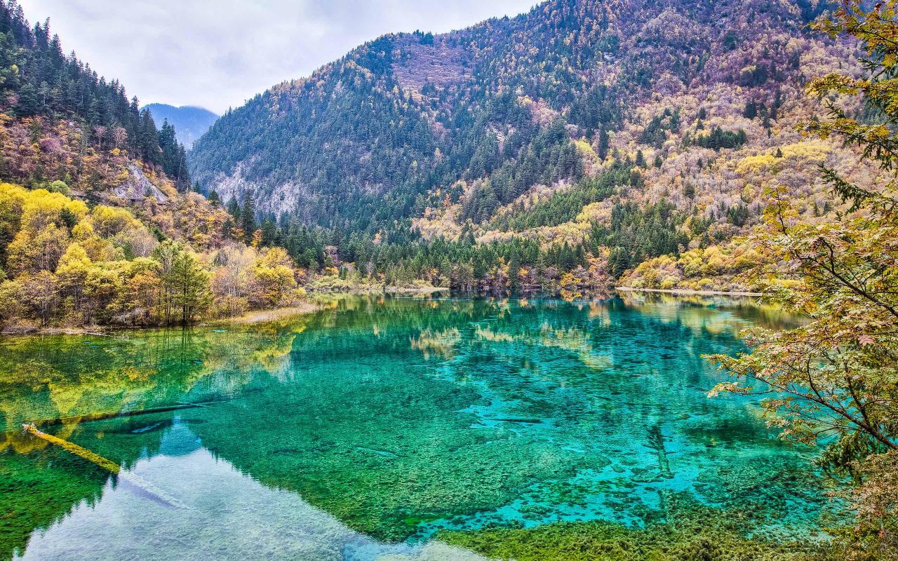 âJiuzhai Valley Before the Earthquakeâçå¾çæç´¢ç»æ